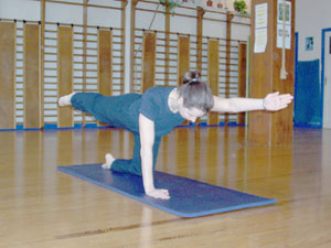 pilafit grenoble france la mthode pilates